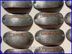 RARE 29 Antique Metal/Copper Pharmacy Apothecary Cabinet Drawer Pulls Knobs