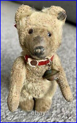 RARE ANTIQUE Early 1900s Steiff Mini 4Teddy Baby Bear FF BUtton Stands With Cup