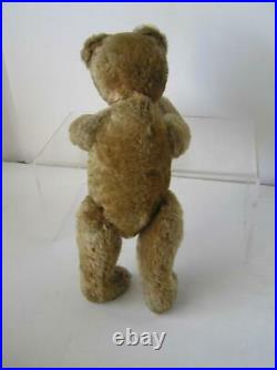 RARE! Antique 1907 AETNA Early American Mohair Fully Jointed Teddy BEAR 14 tall