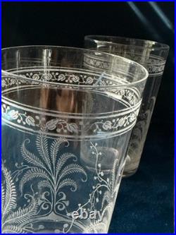 RARE! Antique Baccarat Crystal Fougères Tumblers/Art Nouveau/Early 1900's