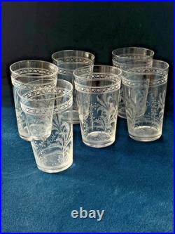 RARE! Antique Baccarat Crystal Fougères Tumblers/Art Nouveau/Early 1900's