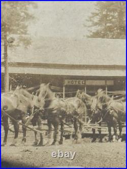 RARE Antique Early American Stagecoach Photo/Tintypes Eastern Oregon
