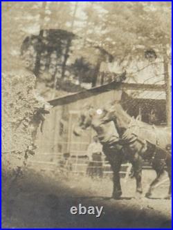 RARE Antique Early American Stagecoach Photo/Tintypes Eastern Oregon