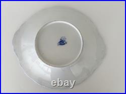 RARE Antique Early Anemone Blue & White Serving Platter 1830's