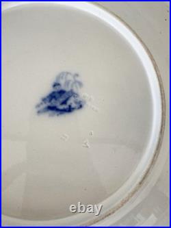 RARE Antique Early Anemone Blue & White Serving Platter 1830's