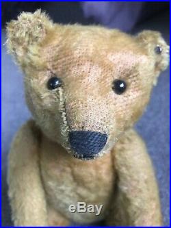 RARE EARLY ANTIQUE Circa 1910 STEIFF 12 TEDDY BEAR FF Button Great Face L@@k