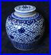 RARE_Early_19th_Century_Antique_Chinese_Blue_White_Large_Porcelain_Ginger_Jar_01_fzz