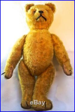 RARE Early Antique 12 Jointed Teddy Bear Hump Back Gold Mohair Growler Box
