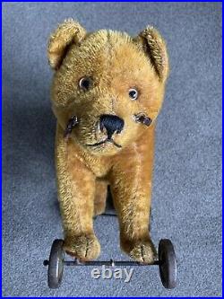 RARE Early Antique Large Schuco Tricky Cinnamon MohairYes No Bear Metal Wheels