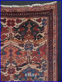 RARE Early Antique SE Persian Tribal AFSHAR Masnad Guest of Honor Seating Rug