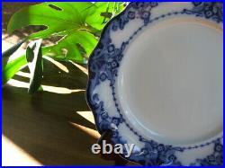 RARE c1902-29 Antique 10.5 Royal Doulton EGERTON Flow Blue DINNER PLATES (2)