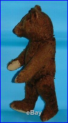 RARE exceptional antique early Steiff chocolate/ brown TEDDY BEAR. 21 inches