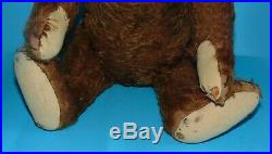 RARE exceptional antique early Steiff chocolate/ brown TEDDY BEAR. 21 inches