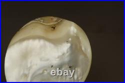 Rare 1518 Antique Carved Mother of Pearl Plaque Early 16th Century