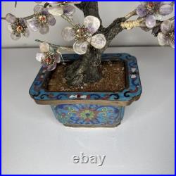 Rare 19th C/Early 20th C Chinese Amethyst Gemstone Bonsai Sculpted Trunk Antique