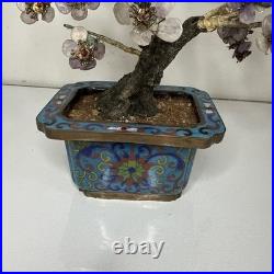Rare 19th C/Early 20th C Chinese Amethyst Gemstone Bonsai Sculpted Trunk Antique