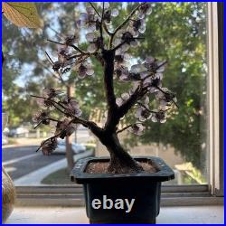 Rare 19th C/Early 20th C Chinese Amethyst Gemstone Bonsai Sculpted Trunk Antique