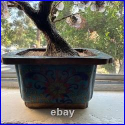 Rare 19th C/Early 20th C Chinese Amethyst Gemstone Bonsai Sculpted Trunk Antique