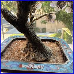 Rare 19th C/Early 20th C Chinese Amethyst Gemstone Bonsai Sculpted Trunk Antique