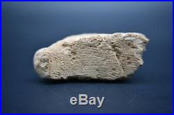 Rare Ancient Early form of writing clay tablet C. 1800 BC