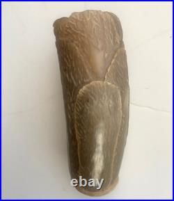 Rare Antique Carved Seaweed Design Oz horn Cup