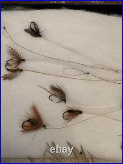 Rare Antique Collection Of Blind Eye Flies Late 1880's Early 1900's 60 + Flies