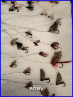 Rare Antique Collection Of Blind Eye Flies Late 1880's Early 1900's 60 + Flies