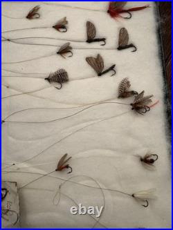 Rare Antique Collection Of Blind Eye Flies Late 1880's Early 1900's 60 + Flies