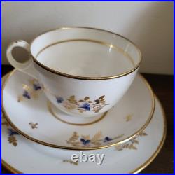 Rare Antique Early 19th Minton England Trio Cup And Saucer Plate