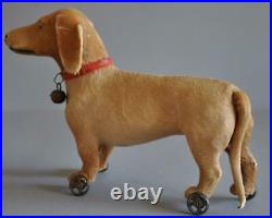 Rare Antique Early 20th Century Steiff Dachshund Dog Pull Toy on Wheels