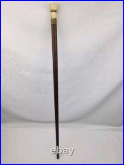 Rare Antique Early Carved Hand Cane Wood Swagger Stick Exotic Brazilian Rosewood