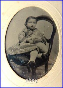 Rare Antique Early Daguerreotype of Little Girl With White Cat Kitten