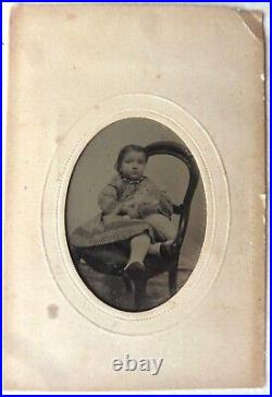 Rare Antique Early Daguerreotype of Little Girl With White Cat Kitten
