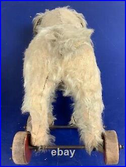 Rare Antique Early SWEET Steiff MOLLY Terrier Dog On Wheels Pull Toy