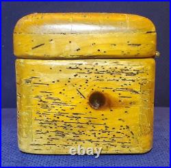 Rare Antique Early Vintage Small Worm Wood Chest Trunk Box