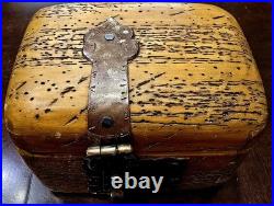 Rare Antique Early Vintage Small Worm Wood Chest Trunk Box