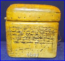 Rare Antique Early Vintage Small Worm Wood Chest Trunk Box