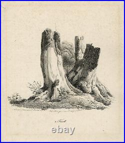 Rare Antique Master Print-LANDSCAPE-GOETHE-EARLY LITHOGRAPHY-Frommel-Wagner-1823
