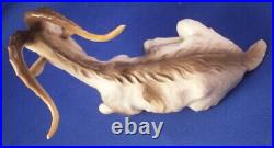 Rare Antique Nymphenburg Porcelain Goat Figure Figurine Porzellan Ziege Figur