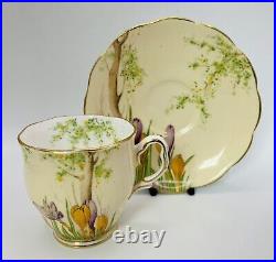 Rare Antique Royal Albert Crocus Bone China Coffee Duo 1931 Reg 769206