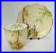 Rare_Antique_Royal_Albert_Crocus_Bone_China_Coffee_Duo_1931_Reg_769206_01_yeny