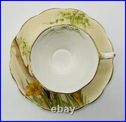 Rare Antique Royal Albert Crocus Bone China Coffee Duo 1931 Reg 769206