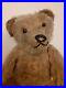 Rare_Antique_Strunz_bear_Early_German_jointed_Mohair_Teddy_Bear_long_arms_01_ppws
