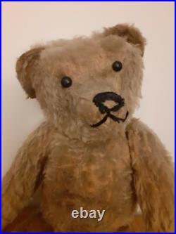 Rare Antique Strunz bear Early German jointed Mohair Teddy Bear long arms