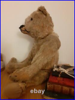 Rare Antique Strunz bear Early German jointed Mohair Teddy Bear long arms