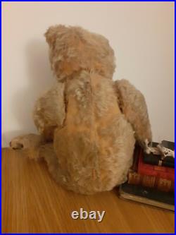 Rare Antique Strunz bear Early German jointed Mohair Teddy Bear long arms