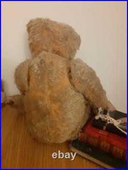 Rare Antique Strunz bear Early German jointed Mohair Teddy Bear long arms