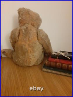 Rare Antique Strunz bear Early German jointed Mohair Teddy Bear long arms