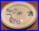 Rare_Antique_Wedgwood_Pearlware_9_3_4_Plate_Botanical_Early_1800s_01_eo