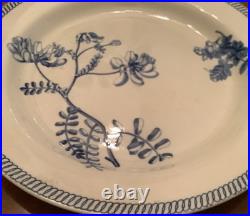Rare Antique Wedgwood Pearlware 9 3/4 Plate Botanical Early 1800s
